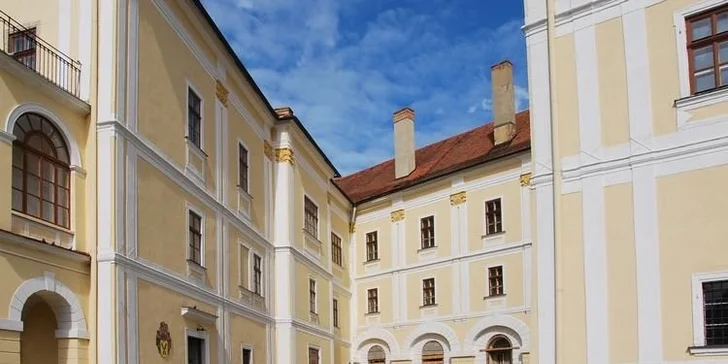 Nechcete nechávat své domácí mazlíčky doma samotné? Nemusíte, při dodržení bezpečnostních pravidel může jít váš pejsek na vodítku s vámi, takže si výlet může užít opravdu celá rodina. 
