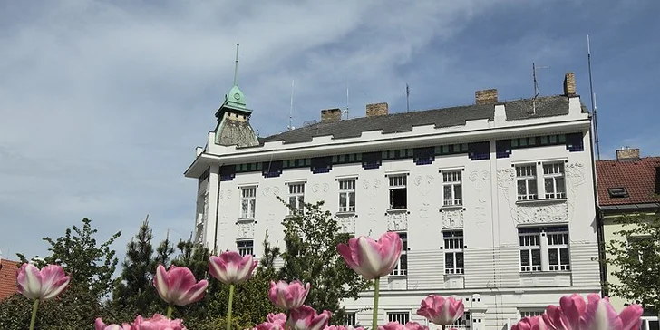 Milevské maškary 2018: masopustní průvod, muzeum a 1 kg zabijačkových dobrot