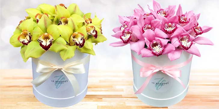 Udělejte radost květinou a darujte flower box s čerstvými květy orchidejí