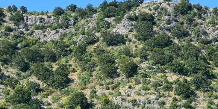 Pláž od hotelu odděluje jen místní promenáda. 