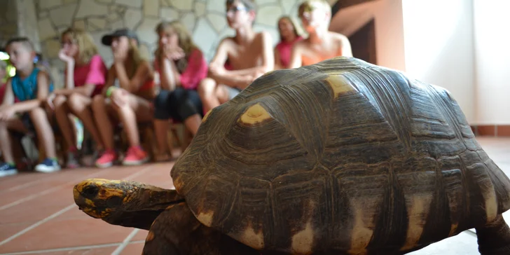 Exotická zvířata zblízka: rodinné a partnerské vstupy do Zooparku Stěžery