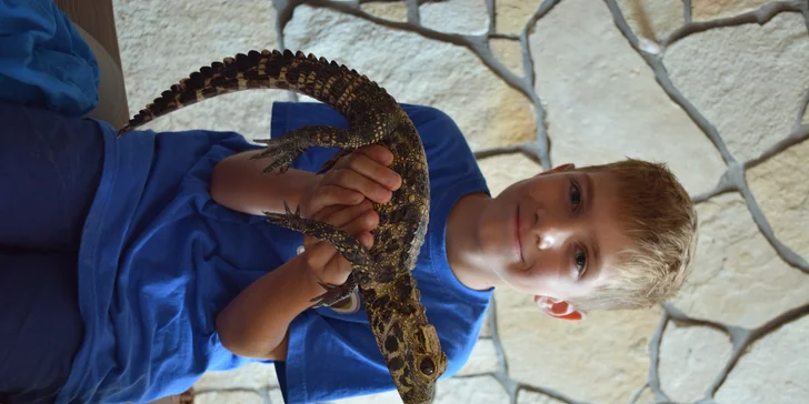 Exotická zvířata zblízka: rodinné a partnerské vstupy do Zooparku Stěžery