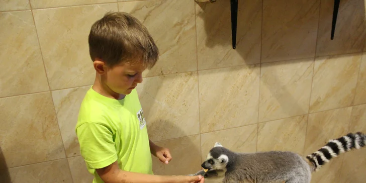 Exotická zvířata zblízka: rodinné a partnerské vstupy do Zooparku Stěžery