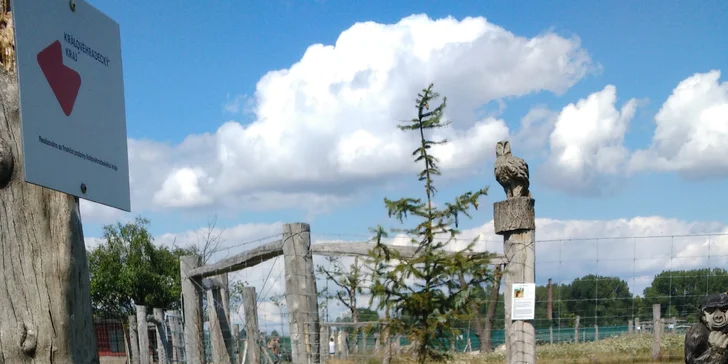 Exotická zvířata zblízka: rodinné a partnerské vstupy do Zooparku Stěžery