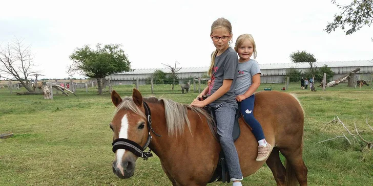 Exotická zvířata zblízka: rodinné a partnerské vstupy do Zooparku Stěžery