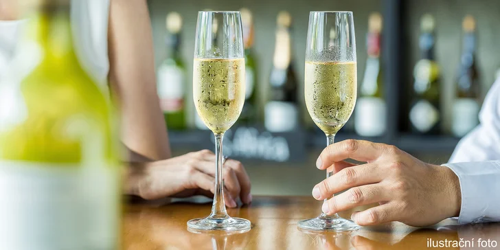 Řízená degustace šumivých vín s občerstevním: 7 druhů včetně Champagne