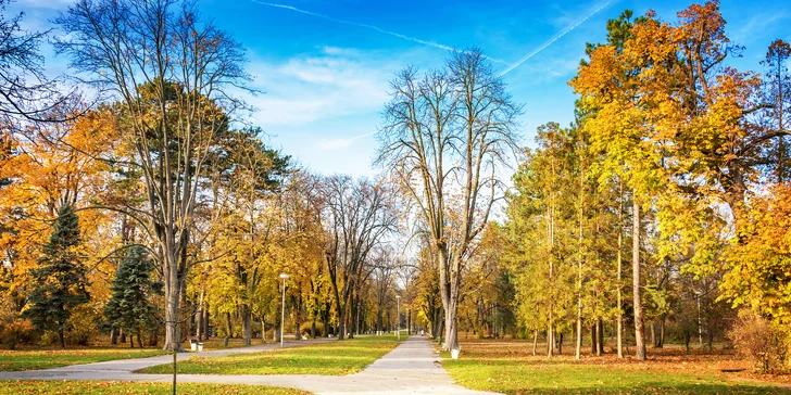 Kousek od hotelu je např. nábřeží řeky Váh jako stvořené k procházkám, Kolonádný most, městský park, tržiště, Dům umění a spousta restaurací i kaváren dokreslujících lázeňskou atmosféru.