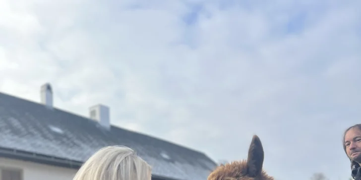 V areálu chovají alpaky, které můžete nakrmit. 