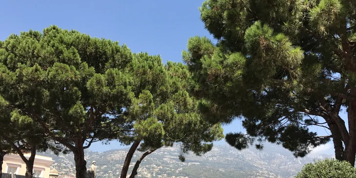 Nice, Cannes, St. Tropéz, Monaco: zájezd s koupáním, dopravou a 2 noci v hotelu