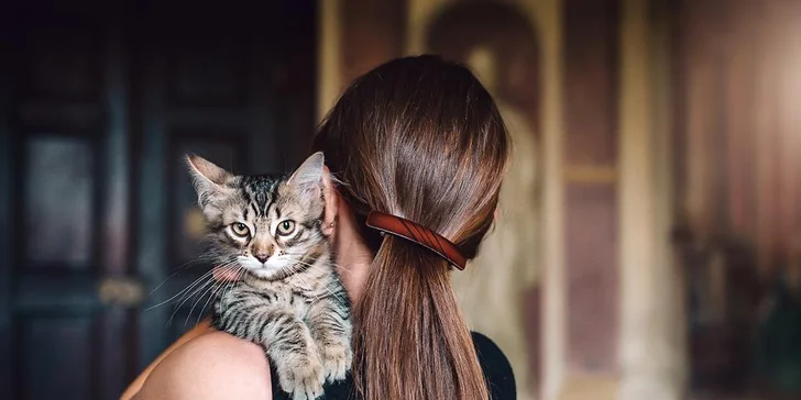 Vstupenky na výstavu koček pro dospělé i rodiny a kočičí kalendář 2019