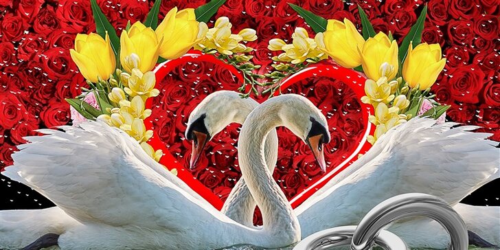 Valentýnská romantika letos jinak: svátek zamilovaných s 1 nocí v Holandsku