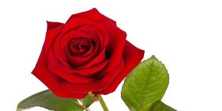Růže každou zmůže: Darujte své milé k Valentýnu romantickou kytici