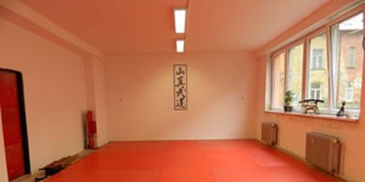 Měsíční permanentka na lekce bojového umění ve Sport Centru Budokan