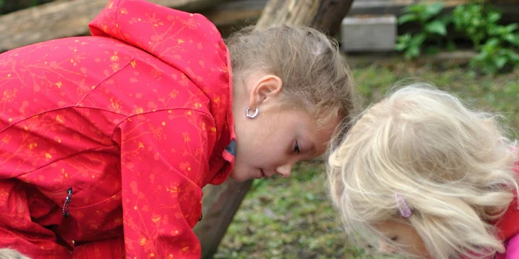 Radost na koňském hřbetu: až 60 min. jízdy v přírodě nebo na jízdárně