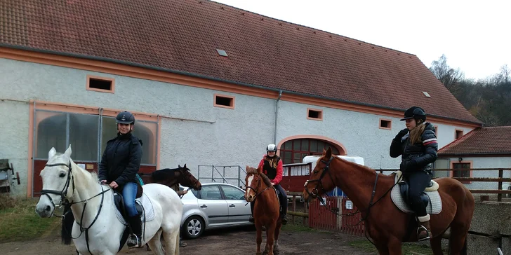 Radost na koňském hřbetu: až 60 min. jízdy v přírodě nebo na jízdárně