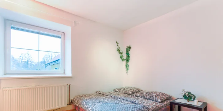 Zima nebo jaro v Jeseníkách: apartmán pro 10 lidí nebo celý dům pro 20 osob