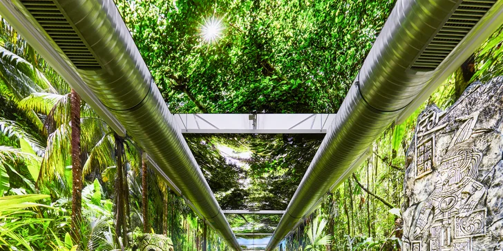V rámci vodného sveta si užijete halu Tropical World s autentickou tropickou krajinou, palmami, vyhriatou Bali lagúnou a bielymi piesočnatými plážami.