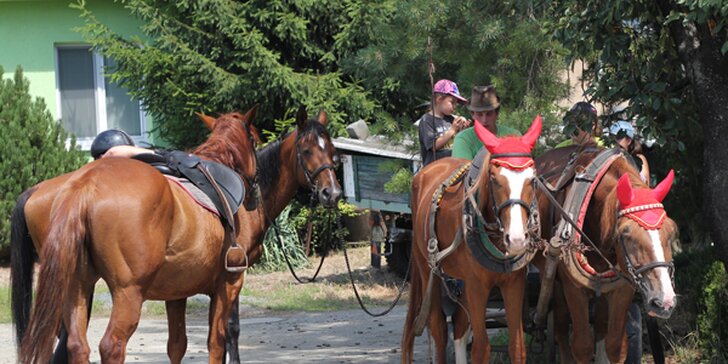 Letní příměstské tábory na koni pro začátečníky od 7 let