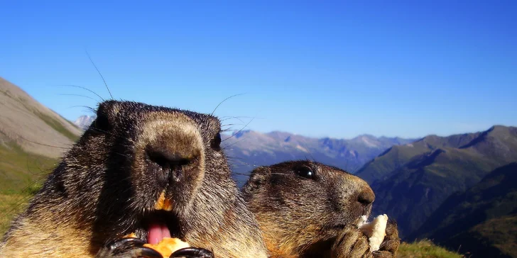 Nádherné vyhlídky: výlet k hoře Grossglockner a do města Zell am See