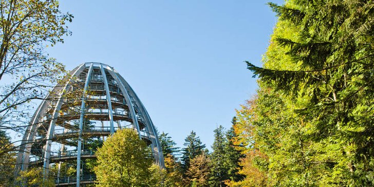 1denní výlet: Bavorský les, Stezka v korunách stromů a historický Pasov
