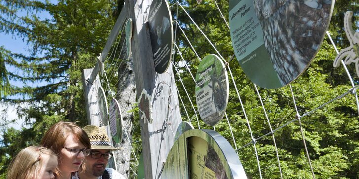 1denní výlet: Bavorský les, Stezka v korunách stromů a historický Pasov