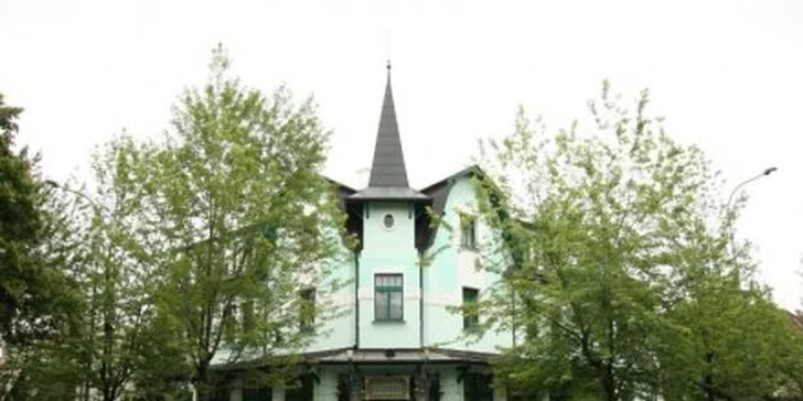 749 Kč za luxusní menu v hodnotě 1890 Kč PRO DVA ve francouzské restauraci Villa Voyta. Gratinované slávky, hovězí steak či vanilkovo-mátový krém se slevou až 60 %.