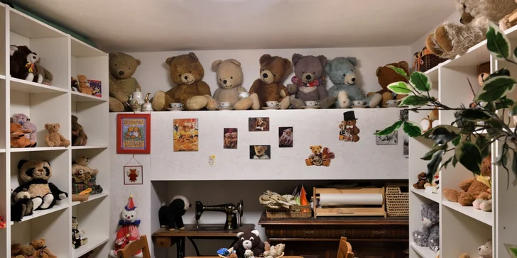 Medvědárium: vstupenka do muzea pro dospělé, pro děti i zvýhodněná rodinná