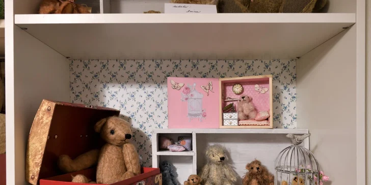 Medvědárium: vstupenka do muzea pro dospělé, pro děti i zvýhodněná rodinná