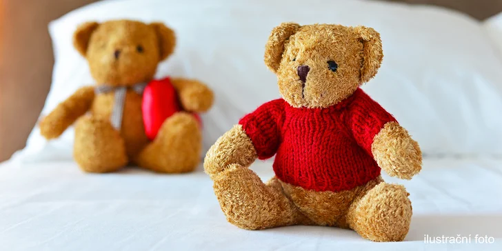 Vstupenka na veletrh Prague Teddy 2018: rodinná, pro dospělé i pro děti