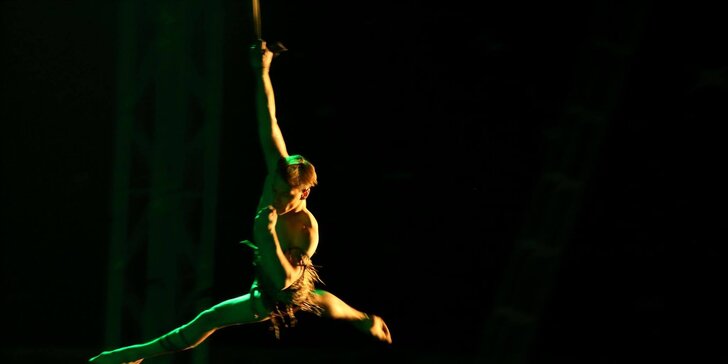 Vstupenky do Cirkusu Humberto: nadaní akrobati, klauni i exotická zvířata