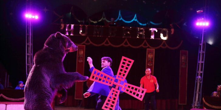 Hurá do Cirkusu Humberto: nadaní akrobati, klauni i exotická zvířata