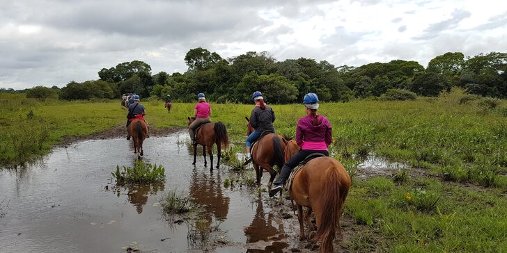 Brazílie a příroda Pantanalu: záloha na 16denní zájezd s českým průvodcem