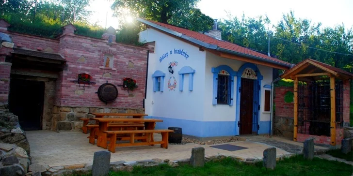 Pobyt na Moravském Slovácku s možností návštěvy vinného sklepa