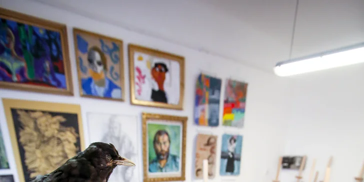 Kreativní výtvarné kurzy pro děti i dospělé