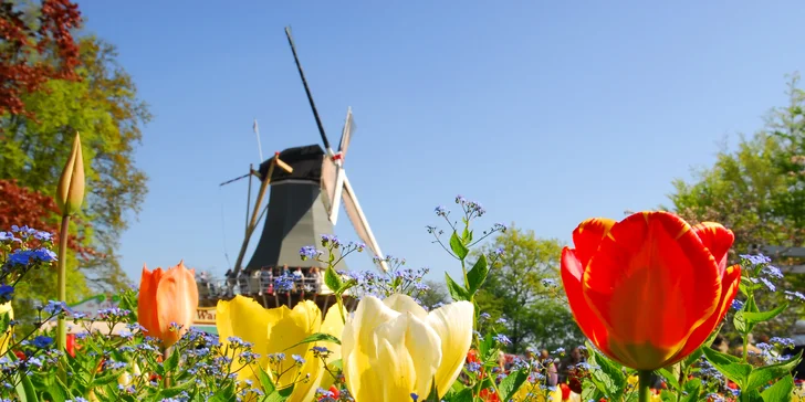 Jeden den v květinovém parku Keukenhof i návštěva Amsterdamu