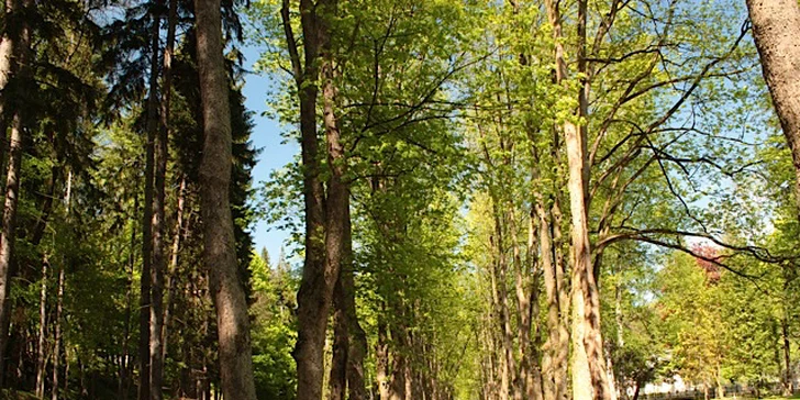 Klimatické lázně v Polsku blízko hranic: neomezené wellness a polopenze