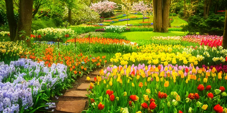 Jeden den v květinovém parku Keukenhof i návštěva Amsterdamu