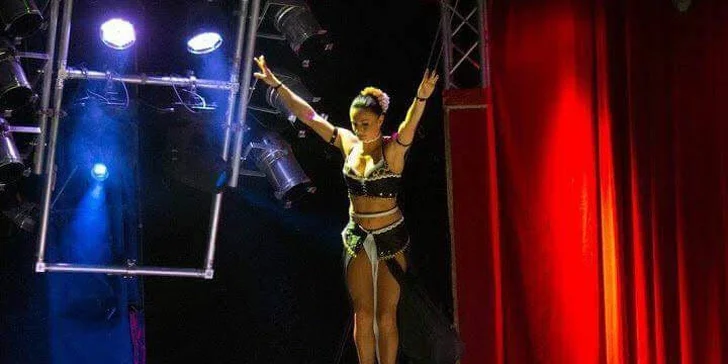 Vstupenky na originální cirkusovou show: Karel Berousek uvádí cirkus Sultán