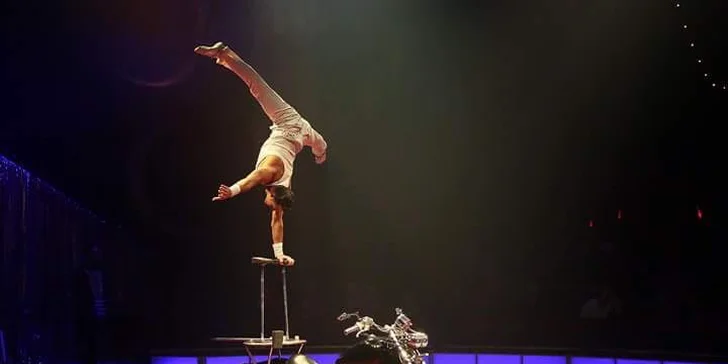 Vstupenky na originální cirkusovou show: Karel Berousek uvádí cirkus Sultán