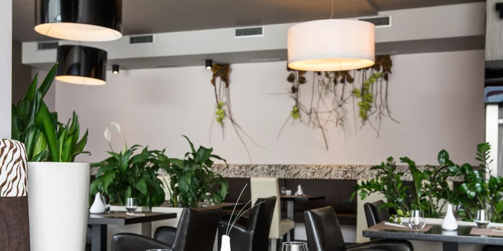 4chodové degustační menu: hovězí entrecôte nebo filety dorády