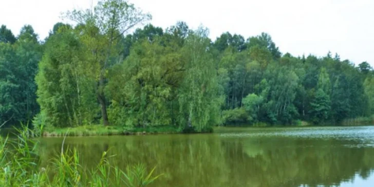 Dokonalá relaxace u rybníku Biřička.