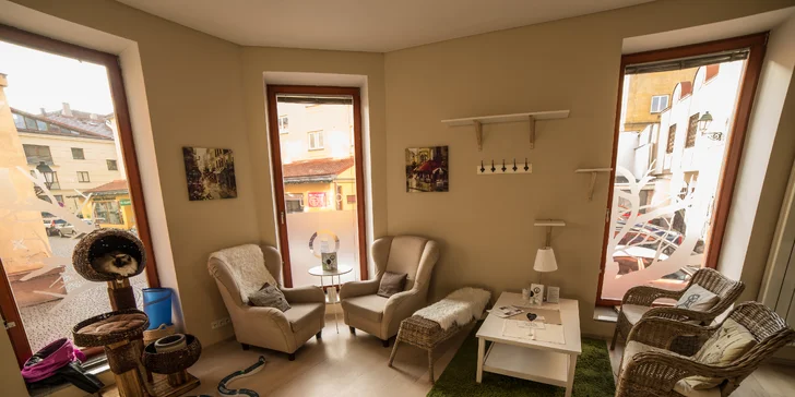 Křesílka jsou pro své pohodlí velmi oblíbená. U kočiček i u zákazníků.