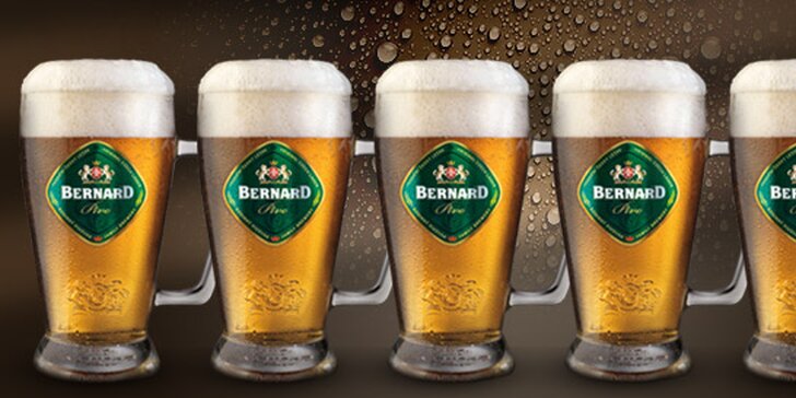 5 vychlazených piv Bernard ve stylovém baru