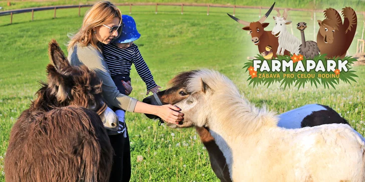 Farmapark pro jednotlivce i rodiny: krmení zvířátek a spousta atrakcí