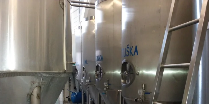 Komentovaná prohlídka Pivovaru Kvasar včetně neomezené konzumace piv