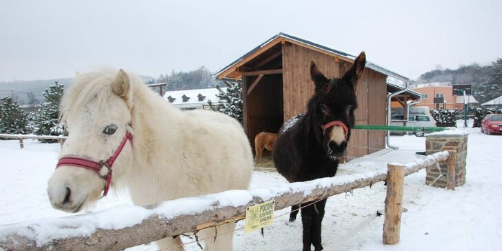 Dovolená u Opavy v penzionu s farmou a koňmi: polopenze, sauna i projížďka na koni