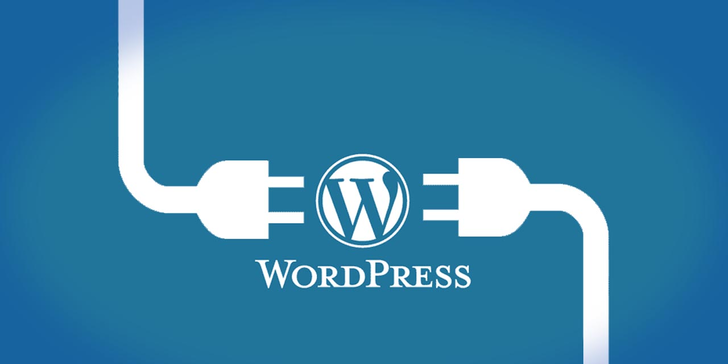 Online kurz Wordpressu: Od koupení domény a hostingu po kompletní web
