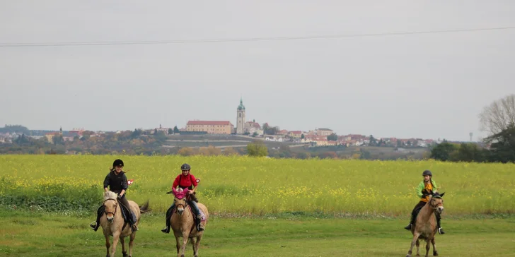 60 minut jízdy na koni pod dohledem zkušeného instruktora