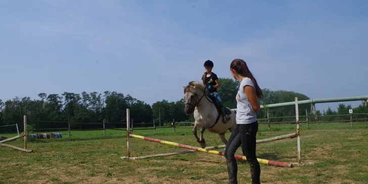 60 minut jízdy na koni pod dohledem zkušeného instruktora