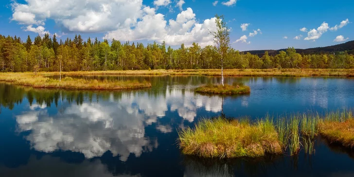 Relax v přírodě: penzion v CHKO Český les, polopenze i privátní wellness